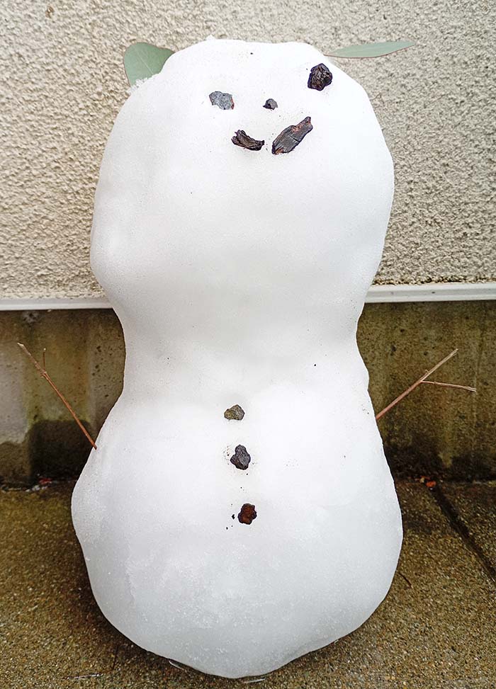 2026年―障害年金は“ターニングポイント”を迎えるのか